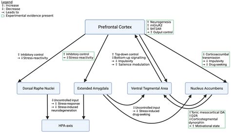 Frontiers Mini Review The Neurobiology Of Treating Substance Use