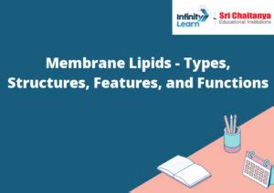 Membrane Lipids - Types, Structures, Features, and Functions