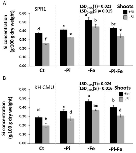 Individual Versus Combinatorial Effects Of Silicon Phosphate And Iron