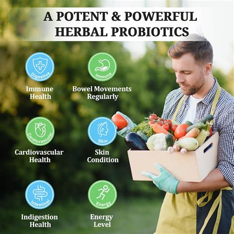 Probiotics For Women And Men 300 Billion Cfu 24 Strains Probiotics