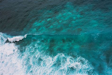 Giornata Mondiale Degli Oceani