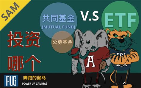 Etf基金投资 Etf Or 共同基金mutual Fund 国内叫公募基金，我该投资哪一个？哔哩哔哩bilibili