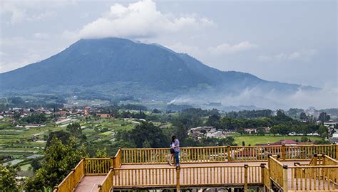 Agrowisata Gunung Sari Kopeng Kabupaten Semarang Keihin Tour