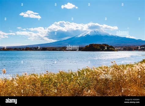 Mt. Fuji and lake Stock Photo - Alamy