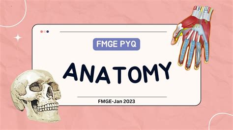 Anatomy PYQ FMGE Recall JAN 23 DMA Chennai YouTube