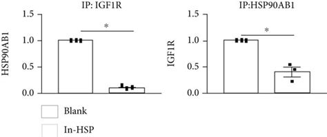 Inhibition Of HSP90 ATPase Activity With Geldanamycin Promotes