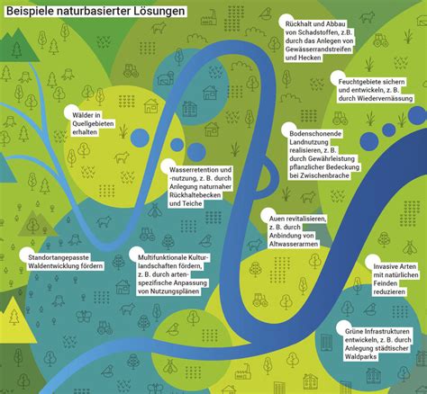 Naturbasierte L Sungen In Flusslandschaften Planen Und Entwickeln
