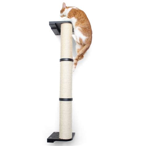 Cat Scratching Pole Wall Mounted By Catastrophic Creations Jackson