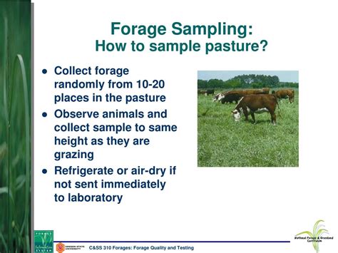 Ppt Forage Quality And Testing Powerpoint Presentation Free Download