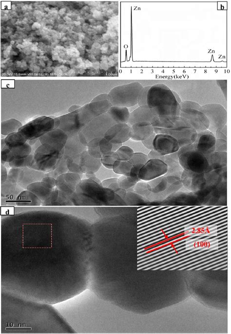 Morphological Characterizations Of ZnO NPs Obtained By Oxidation Of The