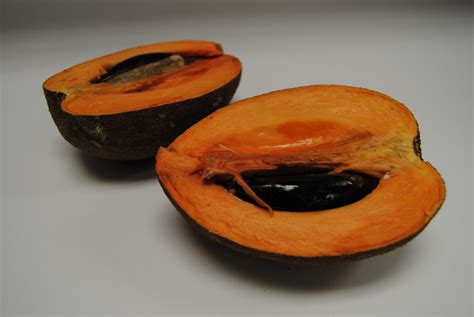 Easy Mamey Sapote Recipe 2023 - AtOnce