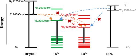 Schematic Diagram Of The Mechanism Of Eu MOF Tb For DPA Detection