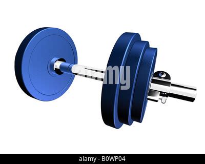 Barbell Object Or Gym Dumbbell Weight Training And Aerobic Strength