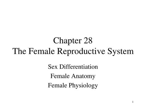 Ppt Chapter 28 The Female Reproductive System Powerpoint Presentation