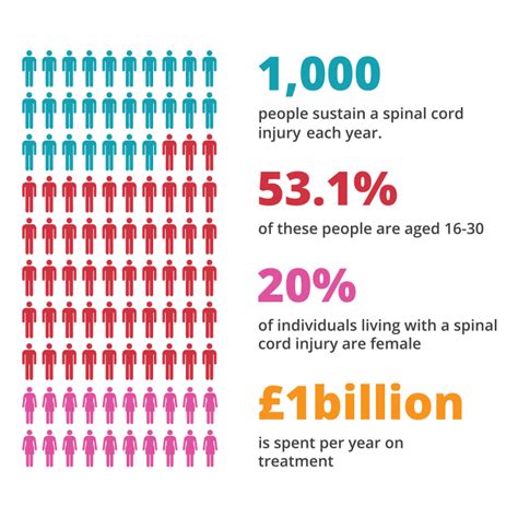 A Guide To Spinal Cord Injury Claim Guide Spinal Injury