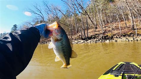 Paying High Rock Lake NC A Visit This Morning Evergreen Orion Daiwa