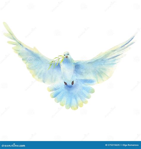 Watercolor Illustration Of Flying White Dove And Olive Branch Isolated