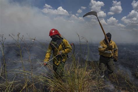 Declararon La Emergencia Y Desastre Agropecuario Para Toda Corrientes