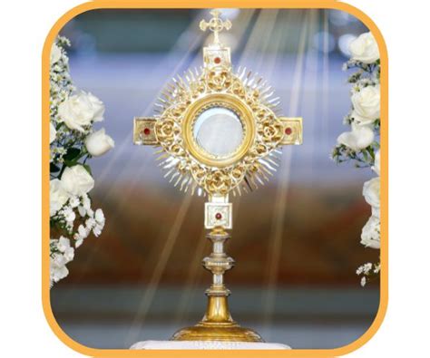 Catholic Mass Times #1 Catholic Mass App - Mass, Confession, and ...