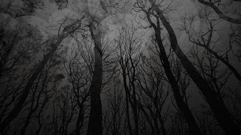 Download Dark Trees Art Wallpaper | Wallpapers.com