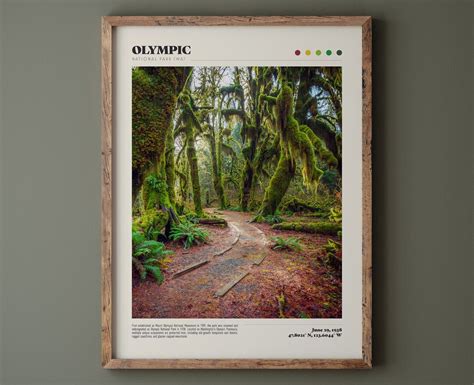 Olympic National Park Poster Premium Quality Fine Art Print Matte ...