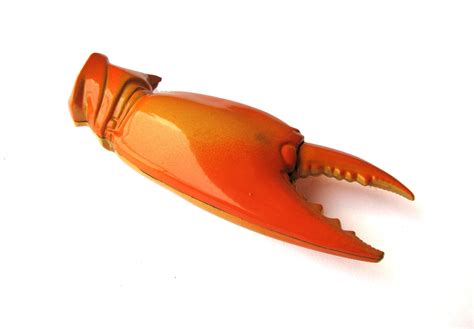 Crab Claw Lighter Free Photo Download Freeimages