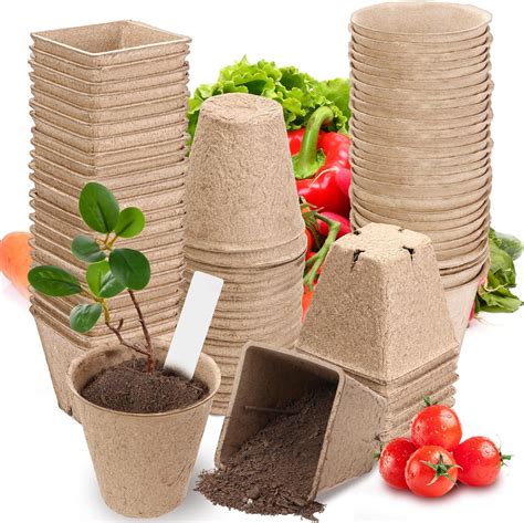 Amazon Maxdot Pcs Peat Pots For Seedlings Inch