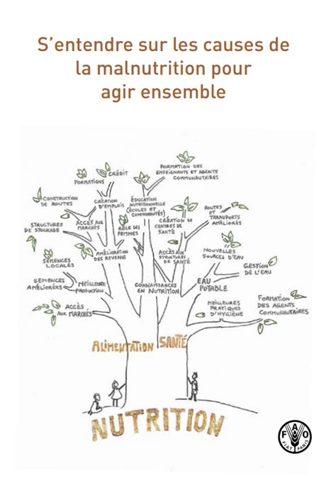 Fao Sfm Outils De D Tails S Entendre Sur Les Causes De La