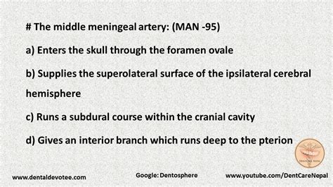 Dentosphere : World of Dentistry: Middle meningeal artery: