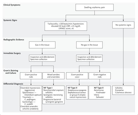 Necrotizing Soft Tissue Infections Nejm