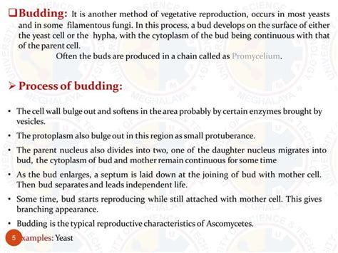 Different modes of reproduction of fungi and reproductive structure and nutrition.pptx