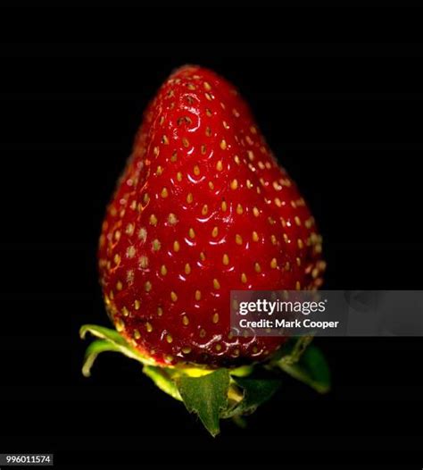 Strawberry Plant On Black Photos and Premium High Res Pictures - Getty Images