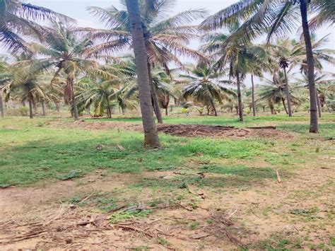 Agricultural Land 148 Guntha For Sale In Hirisave Hassan REI1120583