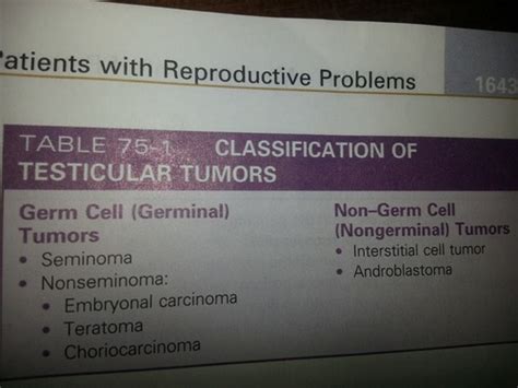 Testicular Cancer Flashcards Quizlet