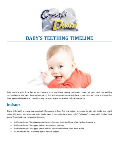 BABY’S TEETHING TIMELINE | PDF | Free Download