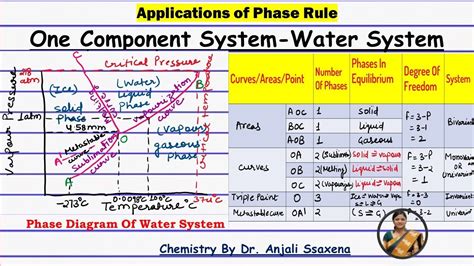 Phase Diagram Of Water System Schematic Phase Diagram Of Wat