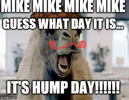 Geico camel hump day Memes - Imgflip