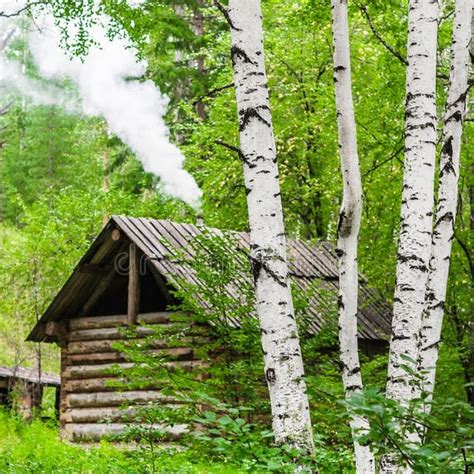 Береза у дома (42 фото) - фото - картинки и рисунки: скачать бесплатно