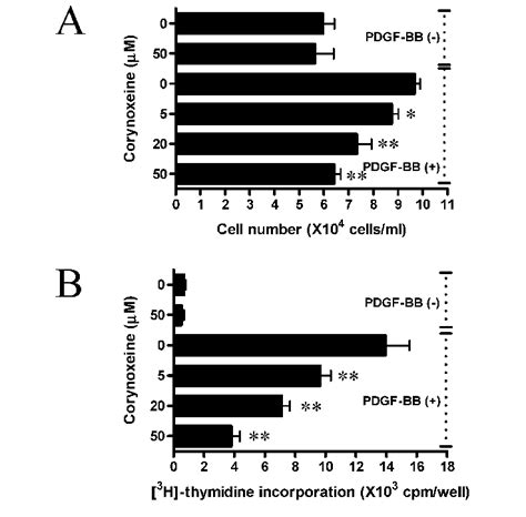 Effects Of Corynoxeine On VSMC Proliferation And DNA Synthe Sis