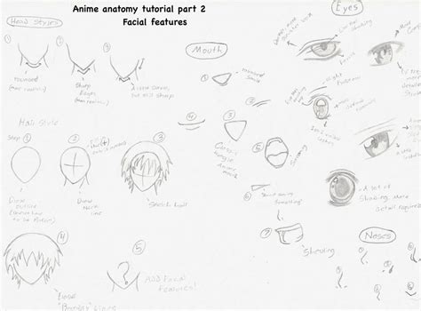 anime anatomy tutorial part 2 by yuukihana on DeviantArt