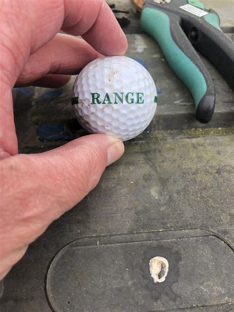 Residents near golf club complain after homes ‘bombarded’ with stray