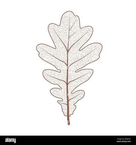 Oak Tree Leaves Clip Art