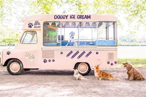 Aldi Becomes First Supermarket To Launch Dog Ice Cream Just In Time