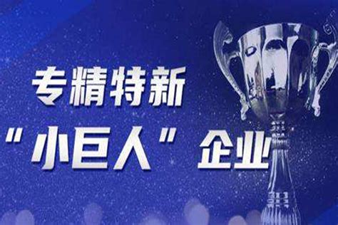 广东深圳市专精特新企业项目申报 新政策解读 八方资源网