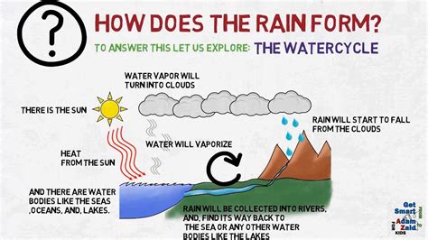 How Does The Rain Form The Water Cycle Science YouTube