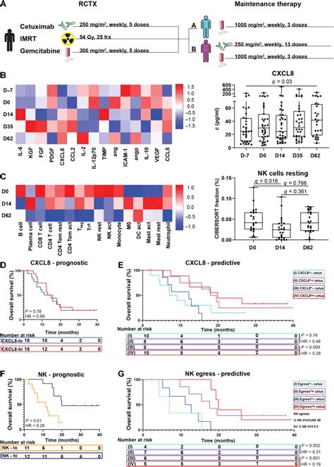 Radiotherapy Orchestrates Natural Killer Cell Dependent Antitumor