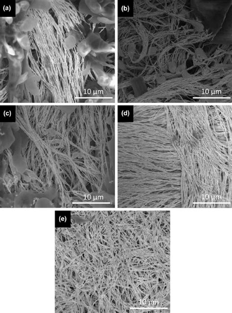 Sem Images Of Au Nanostructures Synthesized In The Presence Of Na