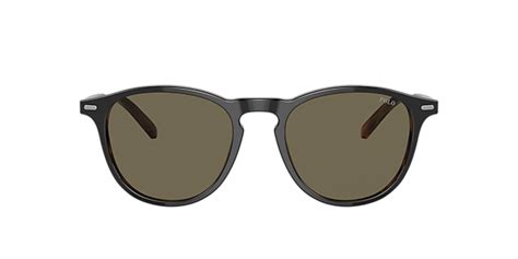 Polo Ralph Lauren Ph4167 56 Polar Grey And Shiny Dark Havana Polarized