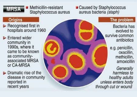 Infographic On MRSA Infection Nursing Tips Rn Nurse Med Lab