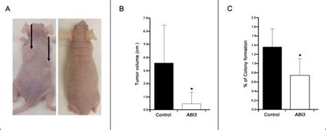 ABI3 Reduced Tumor Formation In Nude Mice And The Ability To Growth In